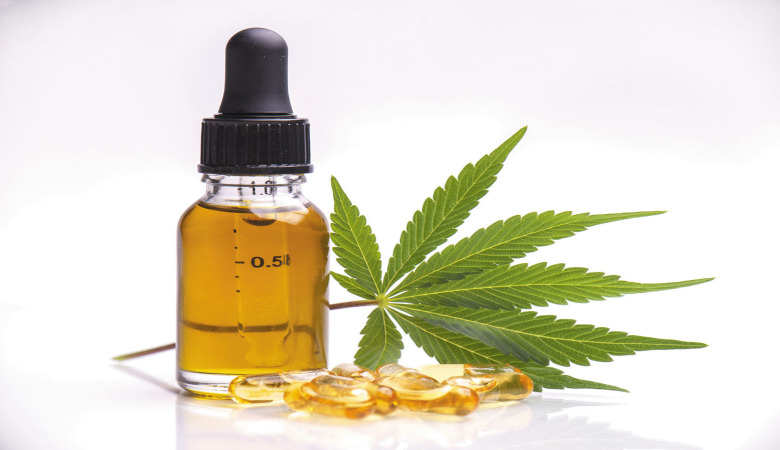 Kediler için CBD Yağı: Nedir ve Nasıl Kullanılır? Kediler için CBD Yağı: Nedir ve Nasıl Kullanılır?