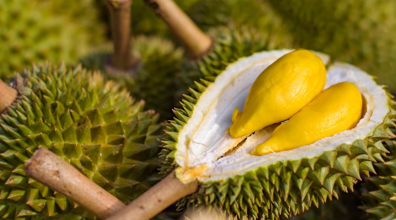 Yabancı Meyveler Nelerdir? Durian Meyvesi